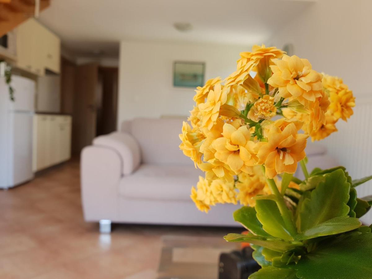 Apartments Skocic Vodice Esterno foto